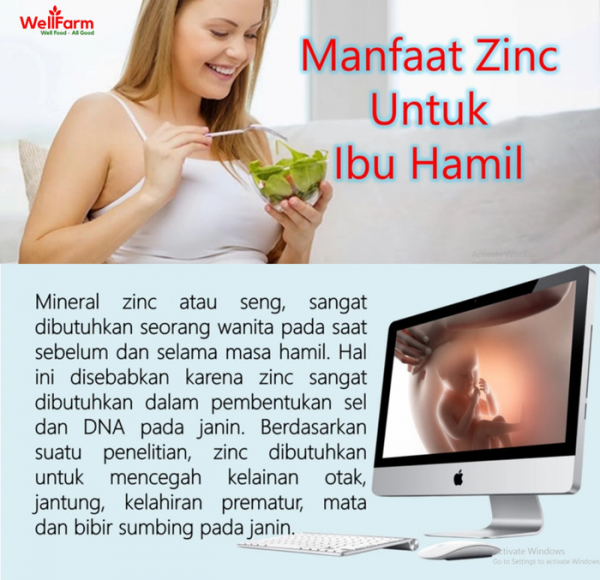 manfat zinc bagi ibu hamil