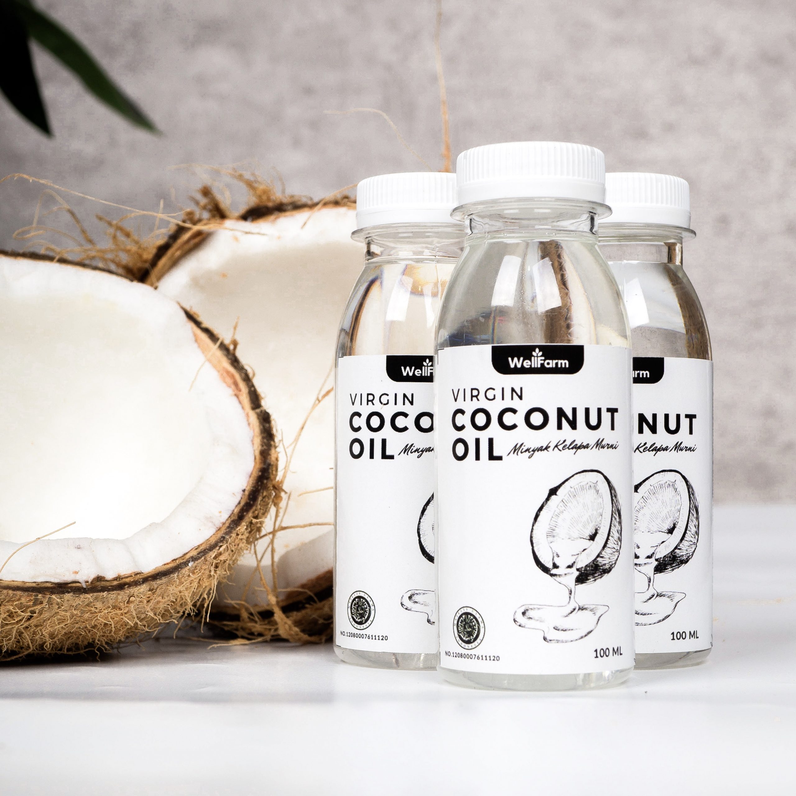Read more about the article Peluang Bisnis : Open Reseller VCO Virgin Coconut Oil Wellfarm