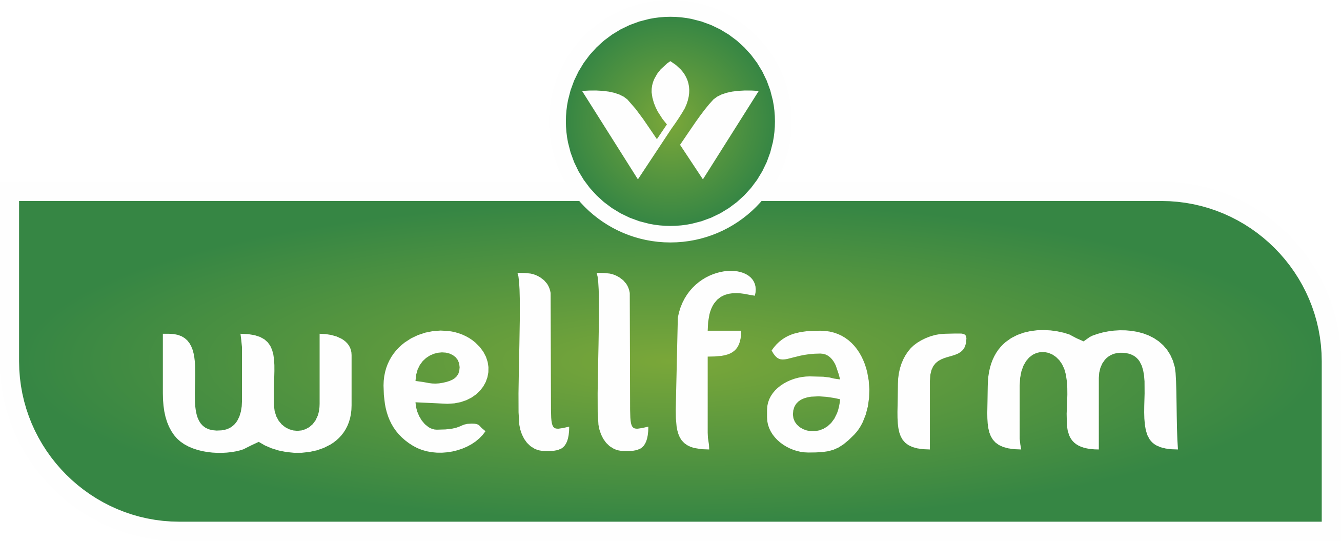 Wellfarm : Produsen Supplier Beras Organik